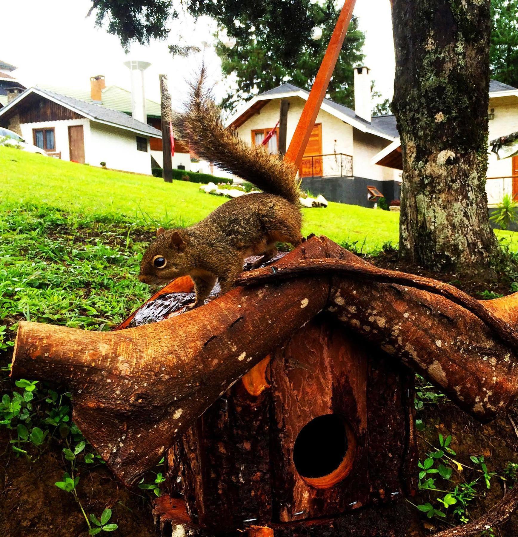 Pousada Villa Monte Verde Luaran gambar